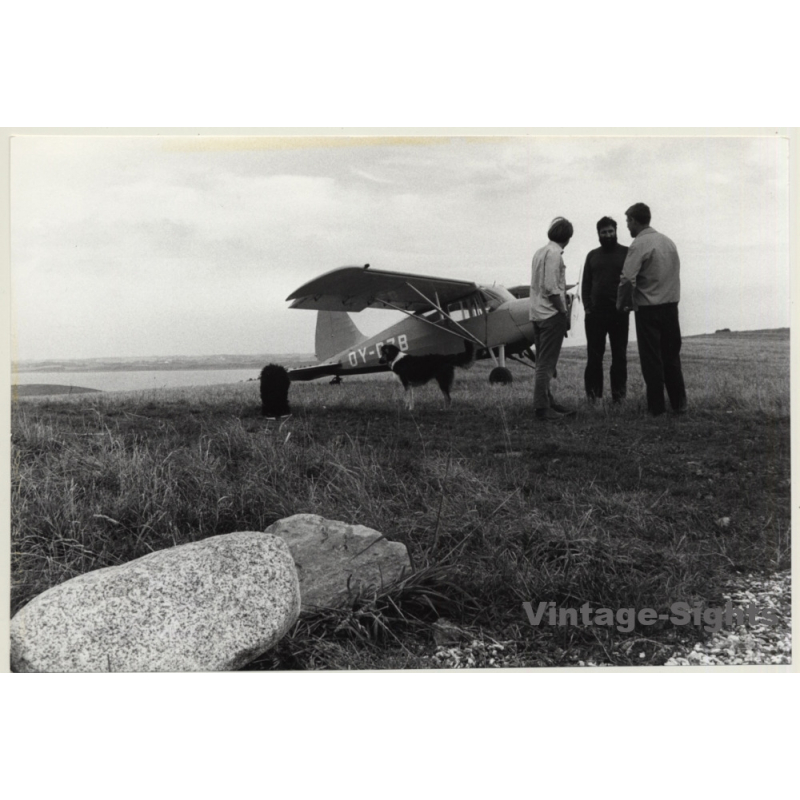 Small Propeller Plane On Meadow / Dog (Vintage Photo: W. Klein - Ilse Collignon ~1960s/1970s)