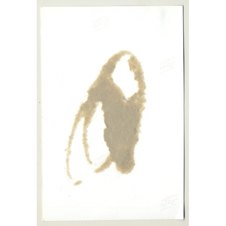 Topless Blonde With Metall Collar / Handcuffs - BDSM (2nd Gen. Photo GDR ~1960s)