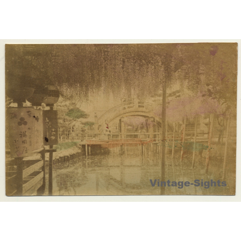 Japan: Kameido Tenjin Shrine *2 - Wisteria / Meiji Era (Vintage Hand Tinted Photo ~1890s) Japan: Kameido Tenjin Shrine *2 - Wisteria / Meiji Era (Vintage Hand Tinted Photo ~1890s)