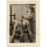 Master & 2 Nude Mistresses *8 / Biederer? - Hand Tinted - BDSM (Vintage Photo ~1930s)