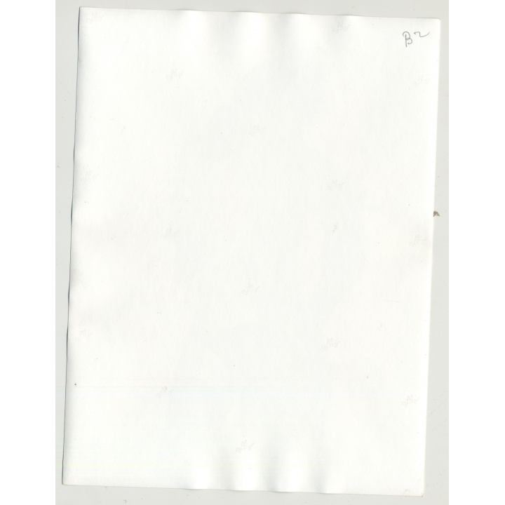 Rear View On Slim Topless Woman W. Fancy Lingerie (Vintage Amateur Photo 60s/70s L)