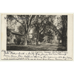 Old Deerfield / USA: Street Scene - Trees (Vintage PC 1904)