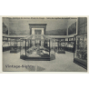 Musée Du Congo / Tervueren: Salle Des Reptiles, Batraciens, Insectes (Vintage PC ~1910s)