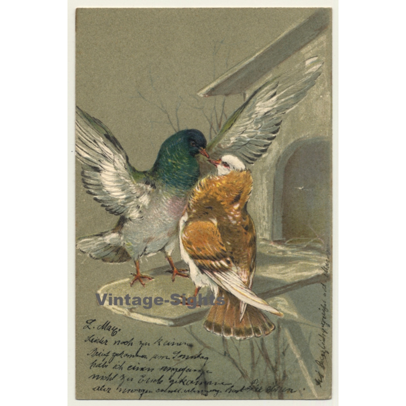 Pigeon & Bird / Paul Finkenrath (Vintage Embossed PC 1900s)