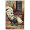 Rooster - Poultry / K.F. Editeurs Paris (Vintage Artist PC 1907)