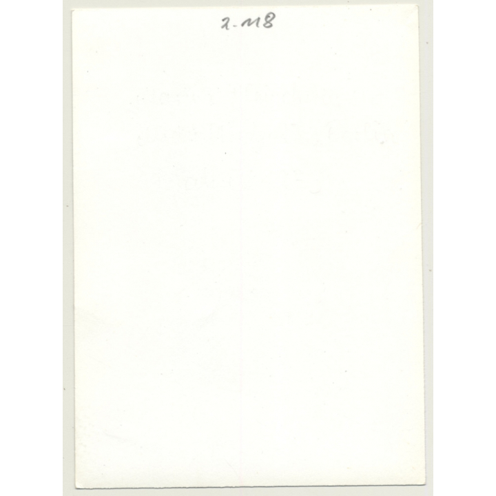 Topless Brunette With Tan Lines / Panties - Small Boobs (Vintage Photo GDR 1980s)