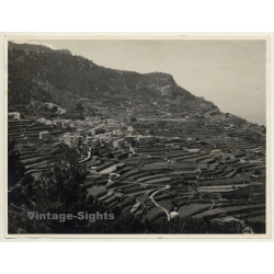Banyalbufar / Mallorca: Stone Terraces - Vineyards - UNESCO (Vintage Photo ~1960s)