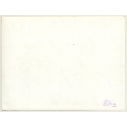 Mallorca / Casa Planas: Ivy Leaf - Hoja De Hiedra (Vintage Photo  ~1960s)