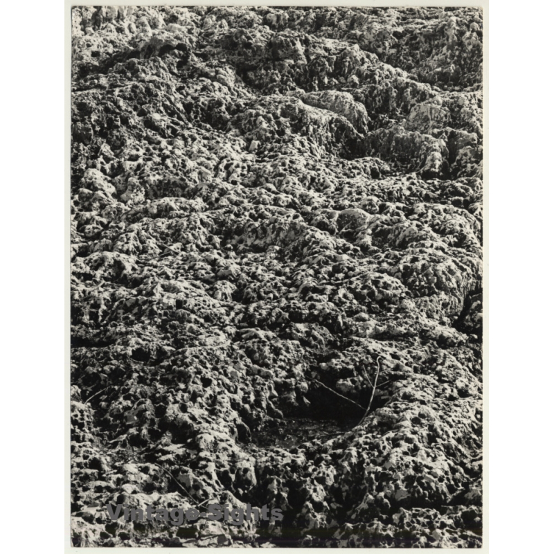 Mallorca / Baleares: Rock Formation - Detail (Vintage Photo ~1960s) Mallorca / Baleares: Rock Formation - Detail (Vintage Photo ~1960s)