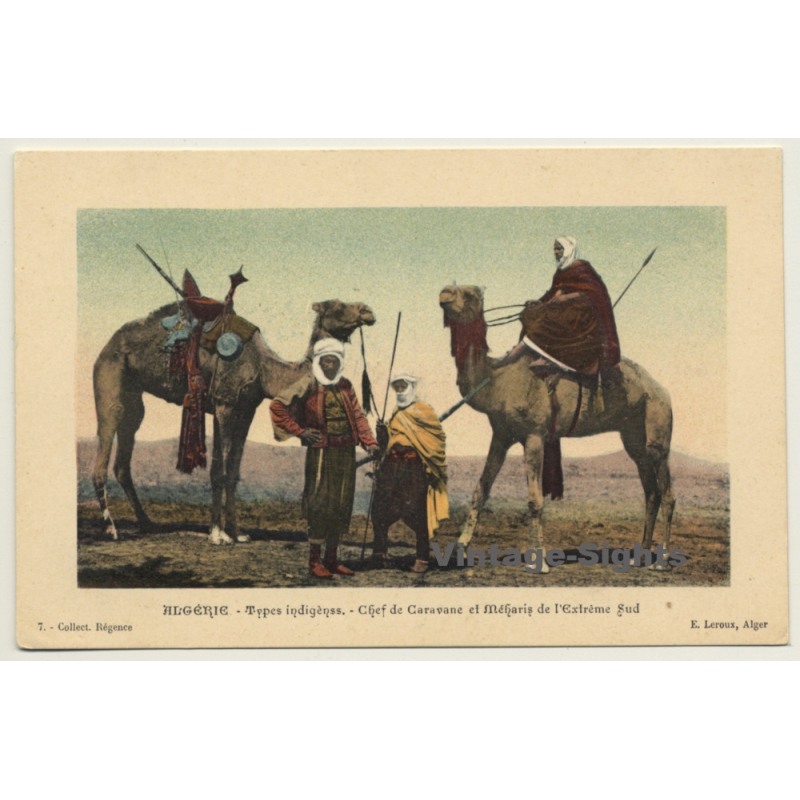 Algeria: Chef De Caravane Et Méharis De L'Extreme Sud (Vintage PC ~1910s/1920s) Algeria: Chef De Caravane Et Méharis De L'Extreme Sud (Vintage PC ~1910s/1920s)