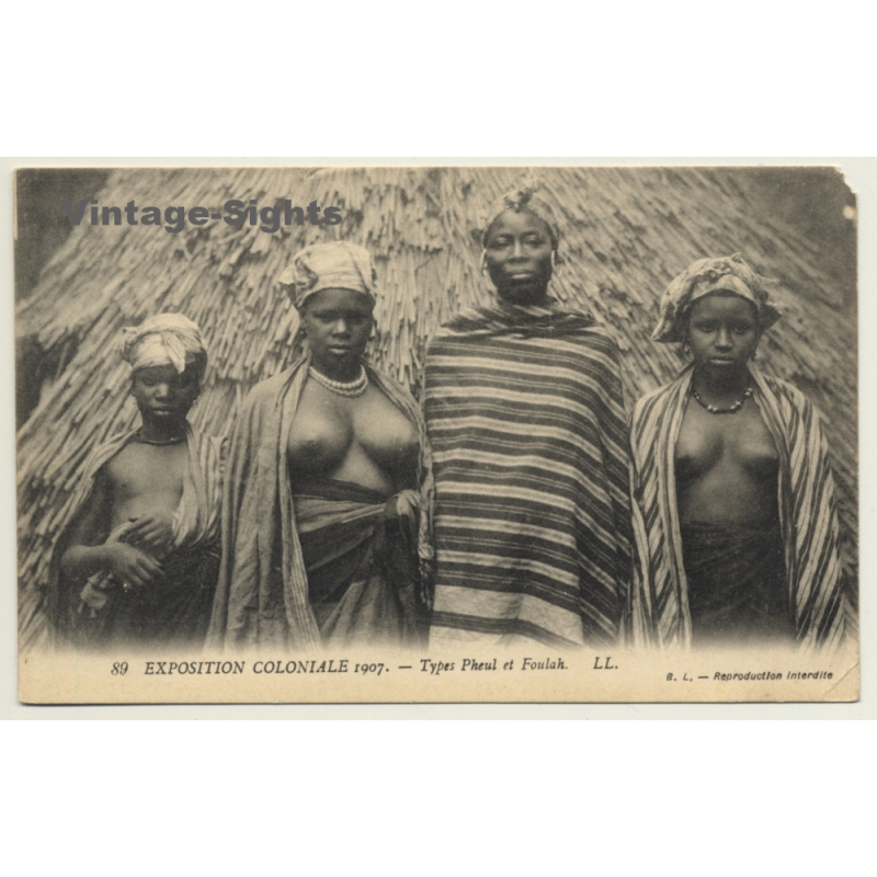 Exposition Coloniale 1907: Types Pheul Et Foulah / Semi Nude - Ethnic (Vintage PC)