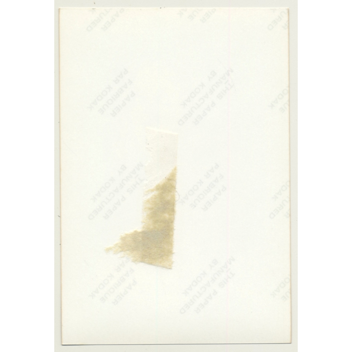 Busty Topless Blonde Female *2 / Pin-Up - Boobs (Vintage Photo Germany ~ 1980s)