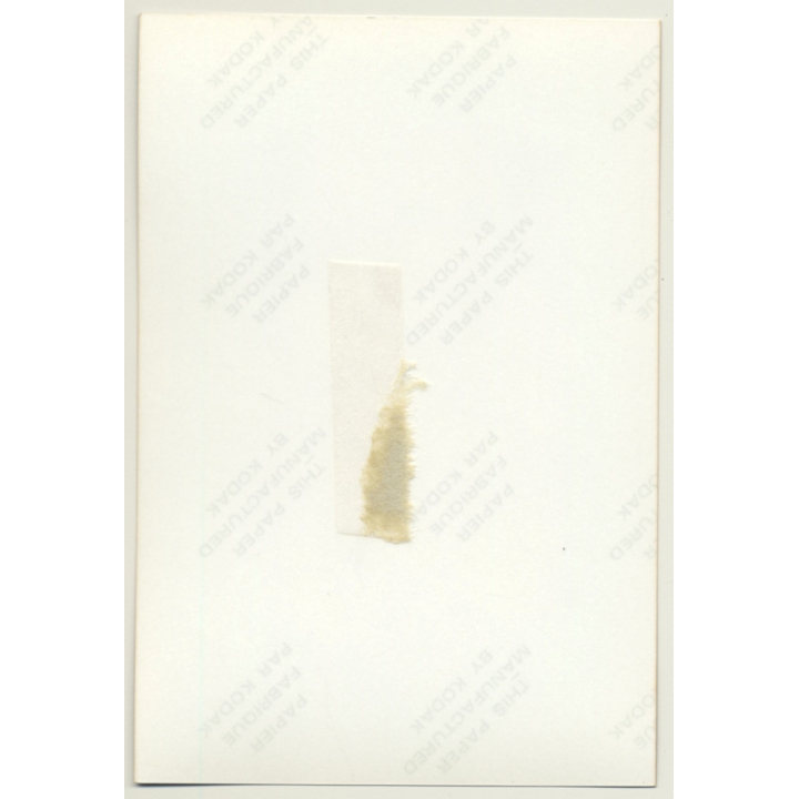 Busty Topless Blonde Female *3 / Pin-Up - Boobs (Vintage Photo Germany ~ 1980s)