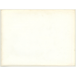 Congo-Belge: Burned Out Chevy Pick-Up - Polar Bear (Vintage Photo ~1950s/1960s)