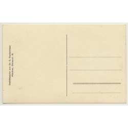 Chicken & Chicks On Meadow / Hühner - Poultry (Vintage RPPC ~1910s)