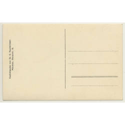 Chicken & Chicks On Meadow *2 / Hühner - Poultry (Vintage RPPC ~1910s)