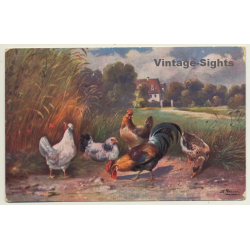 Rooster, Chicken & Duck - Poultry (Vintage Artist PC 1912)