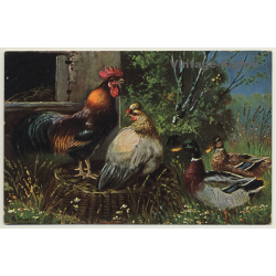 Rooster, Chicken & Ducks - Poultry (Vintage Artist PC)
