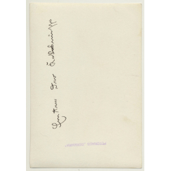 Java / Indonesia: Harvest Of Coconuts / Climbing (Vintage Photo ~1930s)