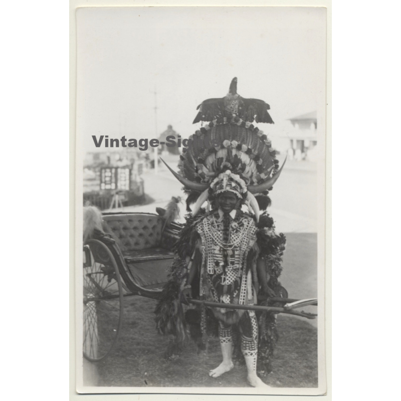 Durban / South Africa: Rickshaw Driver In Wild Tribal Outfit (Vintage Photo ~1930s)