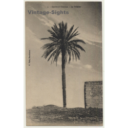 Kasbah-Tadla / Morocco: Le Palmier / Field Postmark Base Aérienne (Vintage PC 1941)