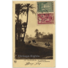 Marrakesh: La Palmeraie / Cluster Of Palmtrees - Camels (Vintage PC 1941)