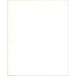 Pretty Female Model *3 / Hairstyle - Eyes (Vintage Fashion Photo: Wolfgang Klein 1980s DIN A4+)