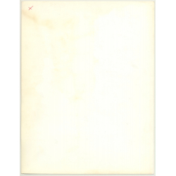 Portrait: Female Fashion Model *1 / Hairstyle (Vintage Photo: Wolfgang Klein 1980s DIN A4+)