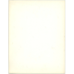 Portrait: Female Fashion Model *2 / Hairstyle (Vintage Photo: Wolfgang Klein 1980s DIN A4+)