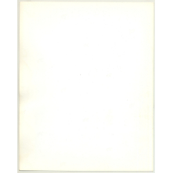 Portrait: Female Fashion Model *3 / Hairstyle (Vintage Photo: Wolfgang Klein 1980s DIN A4+)