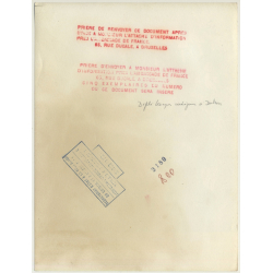 Dakar / Congo-Belge: Force Publique Cavalry Parade (Vintage Photo ~1950s/1960s)