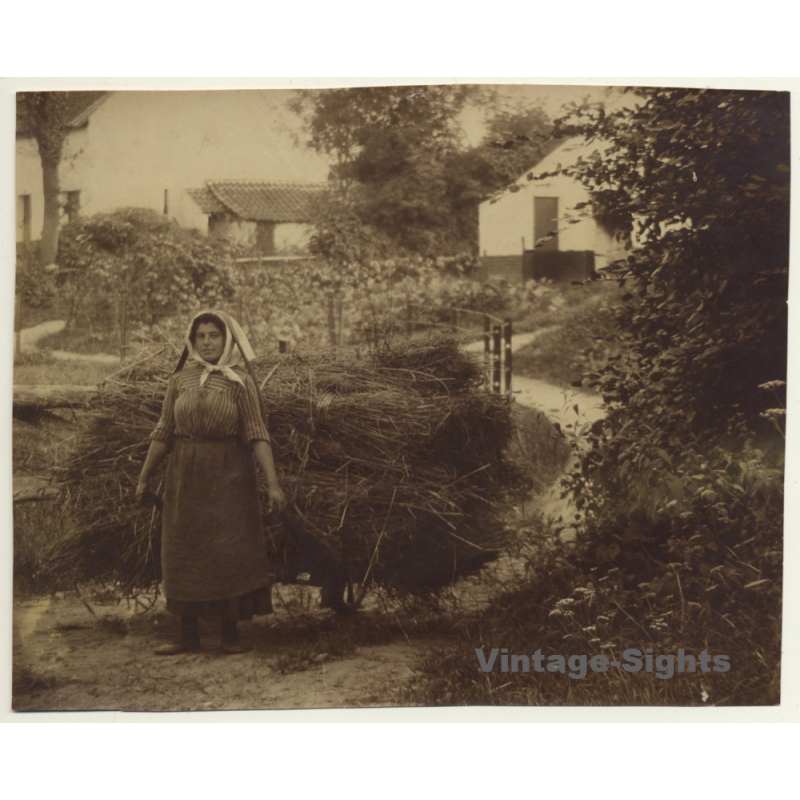 Belgian Peasant Woman Pulls Hay Cart (Vintage Photo ~ 1900s/1910s) Belgian Peasant Woman Pulls Hay Cart (Vintage Photo ~ 1900s/1910s)