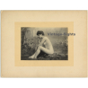 Classic French Nude *6 / Belle Epoque - Risqué (Vintage Photo Gelatin Silver ~1900s)