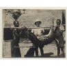 Congo-Belge: Colonial Hunter & 2 Natives W. Shot Antelope (Vintage Photo 1920s/1930s)