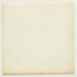 Snapshot: Woman Tries Fruit / Upper Society Party - Fashion (Vintage Photo ~1910s)