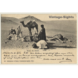 Egypt: Scène Du Désert / Camels & Nomads (Vintage PC 1903)