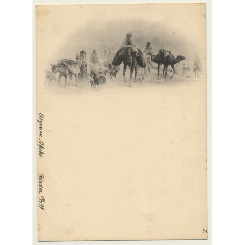 Algeria: Desert Caravan / Camels & Nomads (Vintage PC 1897)