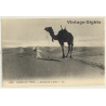 6157 Scènes Et Types: Arabe Faisant Sa Prière / Camel (Vintage PC Levy & Fils)