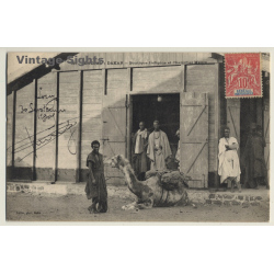 Dakar / Senegal: Boutique Indigéne Et Chamelier Maure / Camel (Vintage PC 1905)