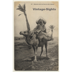 367 Méhariste Dans Oasis Du Sud Algérien / Camel Cavalry...