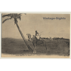 Maghreb: Tuareg On Camel / Ethnic - Palm (Vintage PC ND 1905)