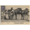 Maghreb: Chameaux / Camels - Berber - Ethnic (Vintage PC ND 1906)