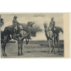 India: Camel Transport / Turban - Ethnic (Vintage PC ~1910s/1920s)