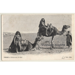 Tunisia: Bédouines Du Sud / Camels - Berber - Ethnic (Vintage PC Coll. EDA)