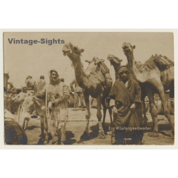 Maghreb: Wüstengeschwader / Méhariste - Camel - Ethnic (Vintage RPPC )