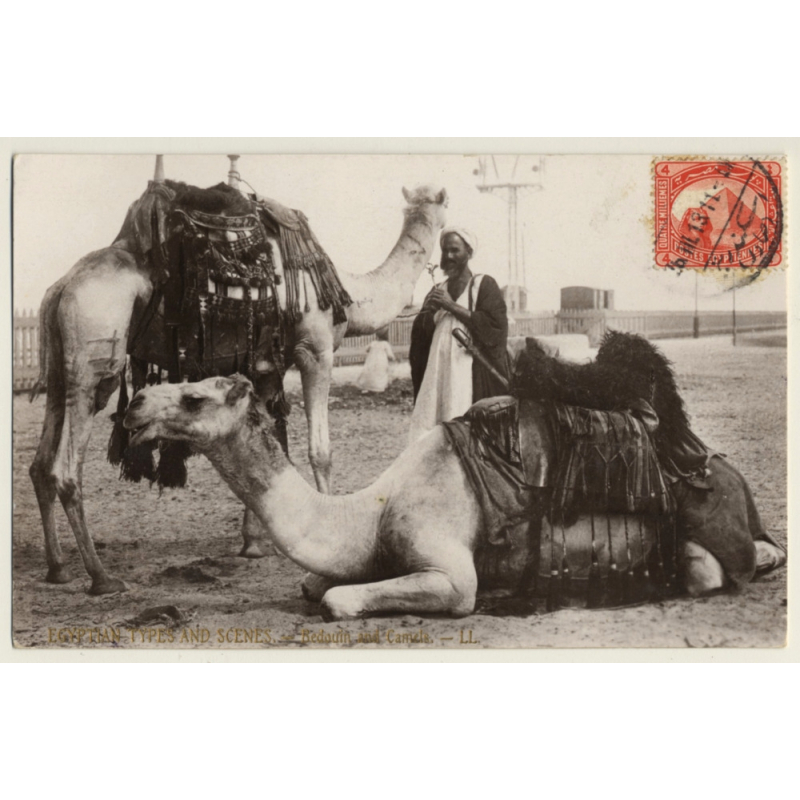 Egypt: Bédouin Et Ses Chameaux / Camel - Ethnic - Berber (Vintage RPPC  LL. 1913)