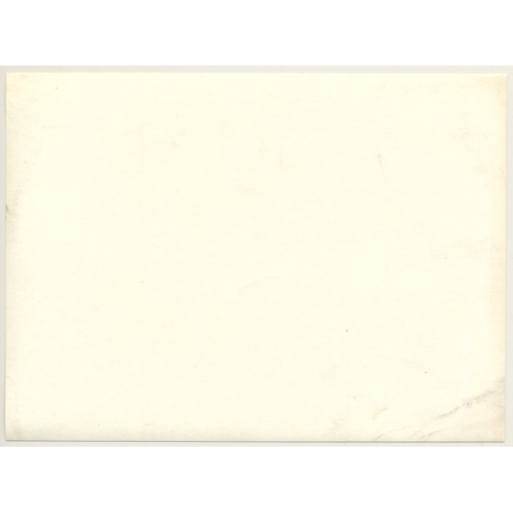 Jerri Bram (1942): Natural Young Woman Dries Her Hair / Beach (Vintage Photo ~1980s)