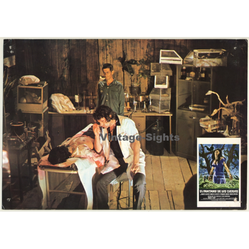 El Pantana De Los Cuervos / Manel Caño - Horror (Vintage Cinema Display 1974) El Pantana De Los Cuervos / Manel Caño - Horror (Vintage Cinema Display 1974)