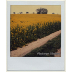 Photo Art: Rapeseed Field (Vintage Polaroid SX-70 1980s)