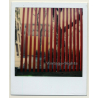 Photo Art: Red Wooden Fence / Tree (Vintage Polaroid SX-70 1980s)
